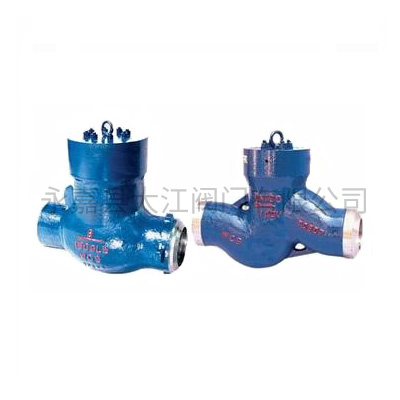 H61Y焊接電站止回閥